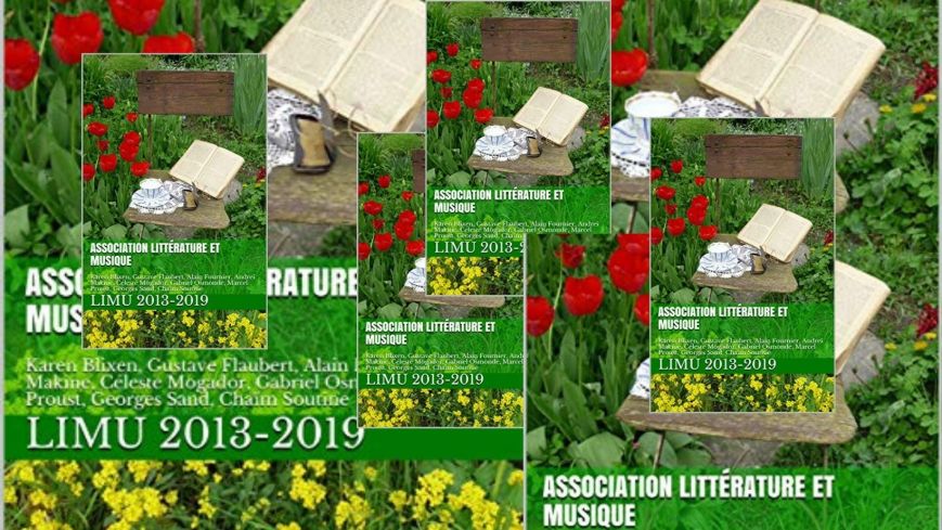 Publication de la LIMU recensant les activités de 2013 à 2019