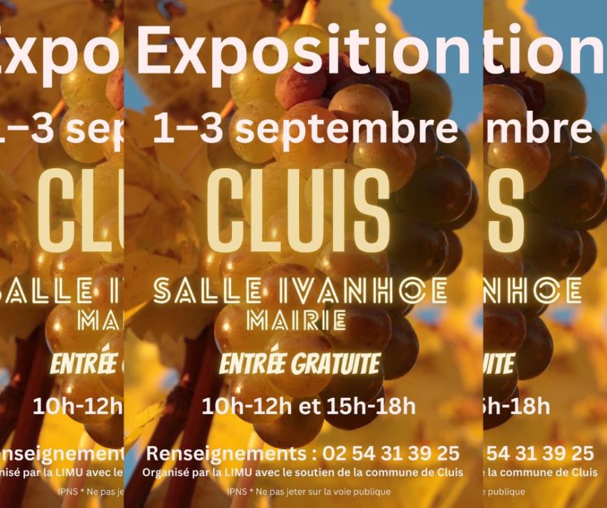Exposition de tableaux du 1er au 3 septembre à la salle Ivanhoé